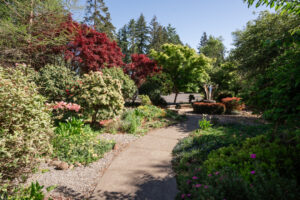 Capella By The Sea Oregon Coast Wedding Venue - Savage Winds Films
